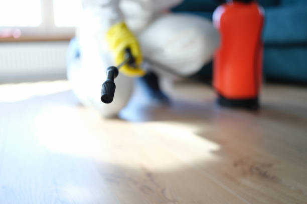  West End Cobb Town, AL Mold Removal Pros