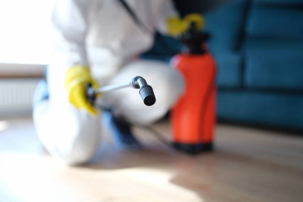 Best Mold Remediation for Healthcare Facilities  in West End Cobb Town, AL
