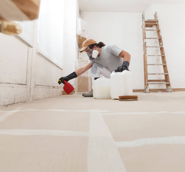 Best Emergency Mold Remediation  in West End Cobb Town, AL