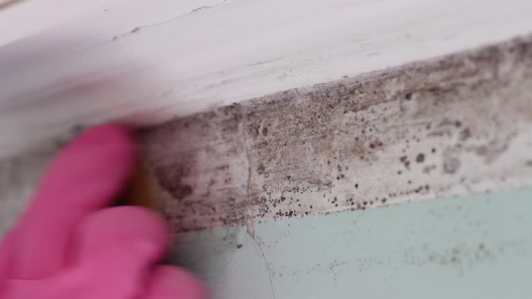 Best Comprehensive Air Testing for Mold Contaminants  in West End Cobb Town, AL